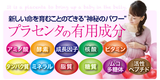 【プラセンタWナイトセット】プラセンタの有用成分、アミノ酸・酵素・成長因子・核酸・ビタミン・タンパク質・ミネラル・脂質・糖質・ムコ多糖体・ペプチドムコ活性