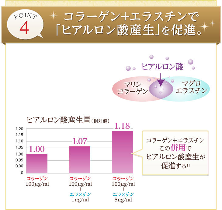 コラーゲン+エラスチンで「ヒアルロン酸産生」を促進。