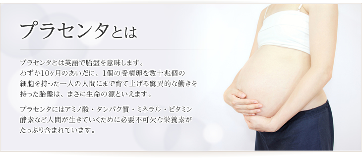 プラセンタとは