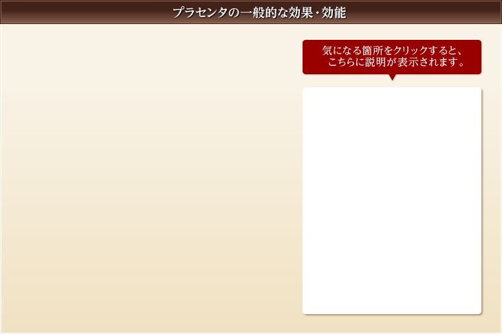 プラセンタの一般的な効果・効能